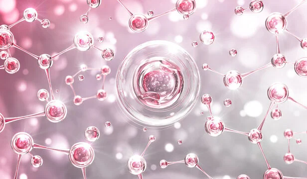 Collagen thủy phân được chia nhỏ thành các peptide dễ hấp thụ