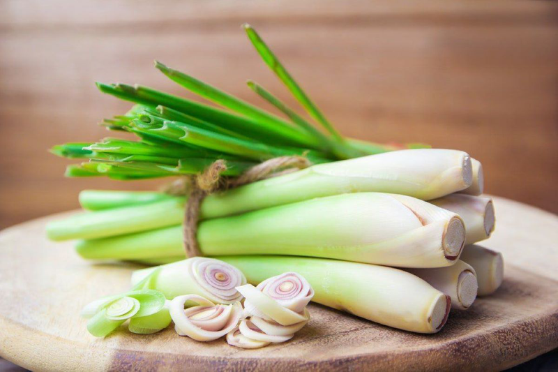 Ngoài làm hương liệu và nguyên liệu nấu ăn, sả còn được sử dụng trong các phương pháp trị liệu